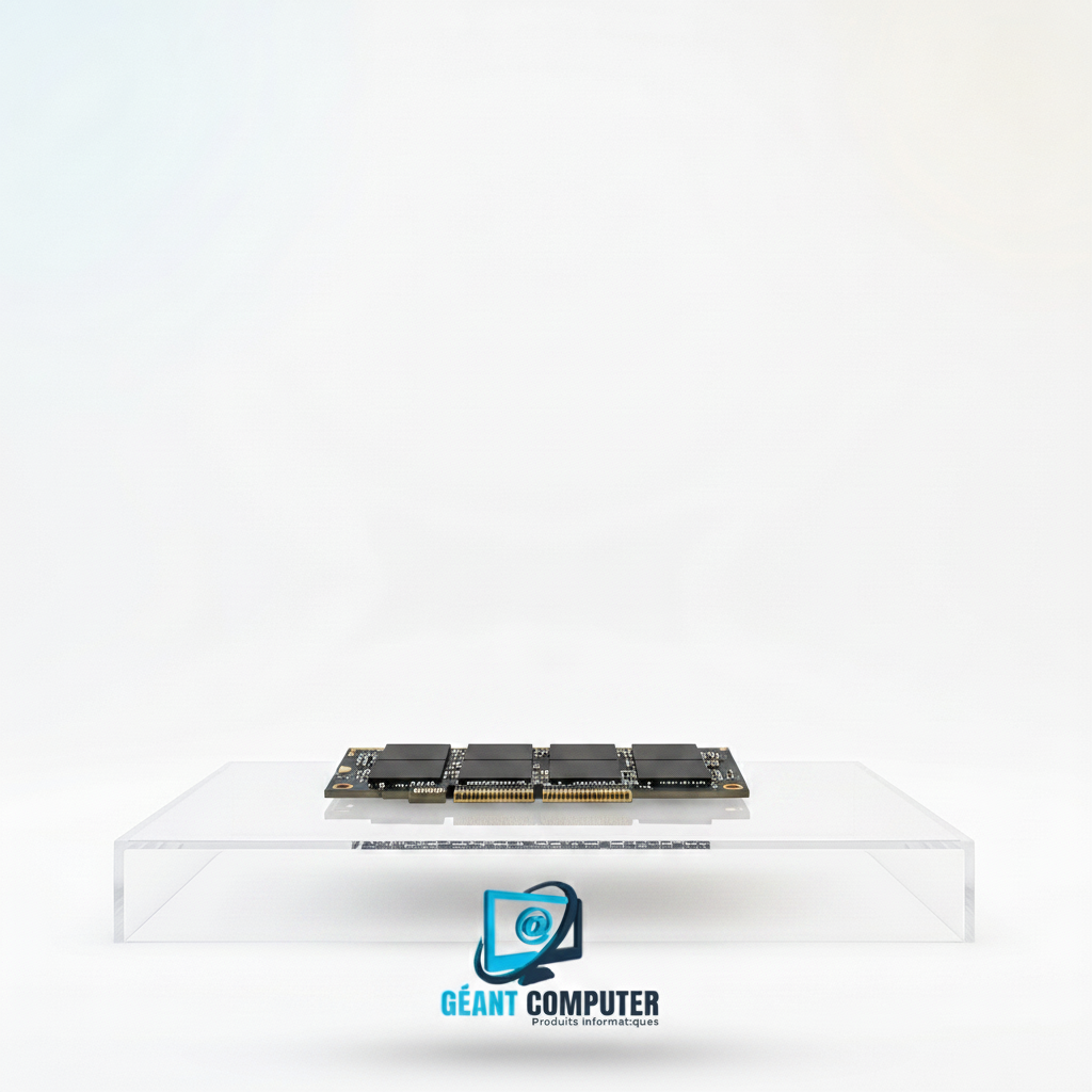 SSD 1To M2 Nvme Occasion Crucial (IA)