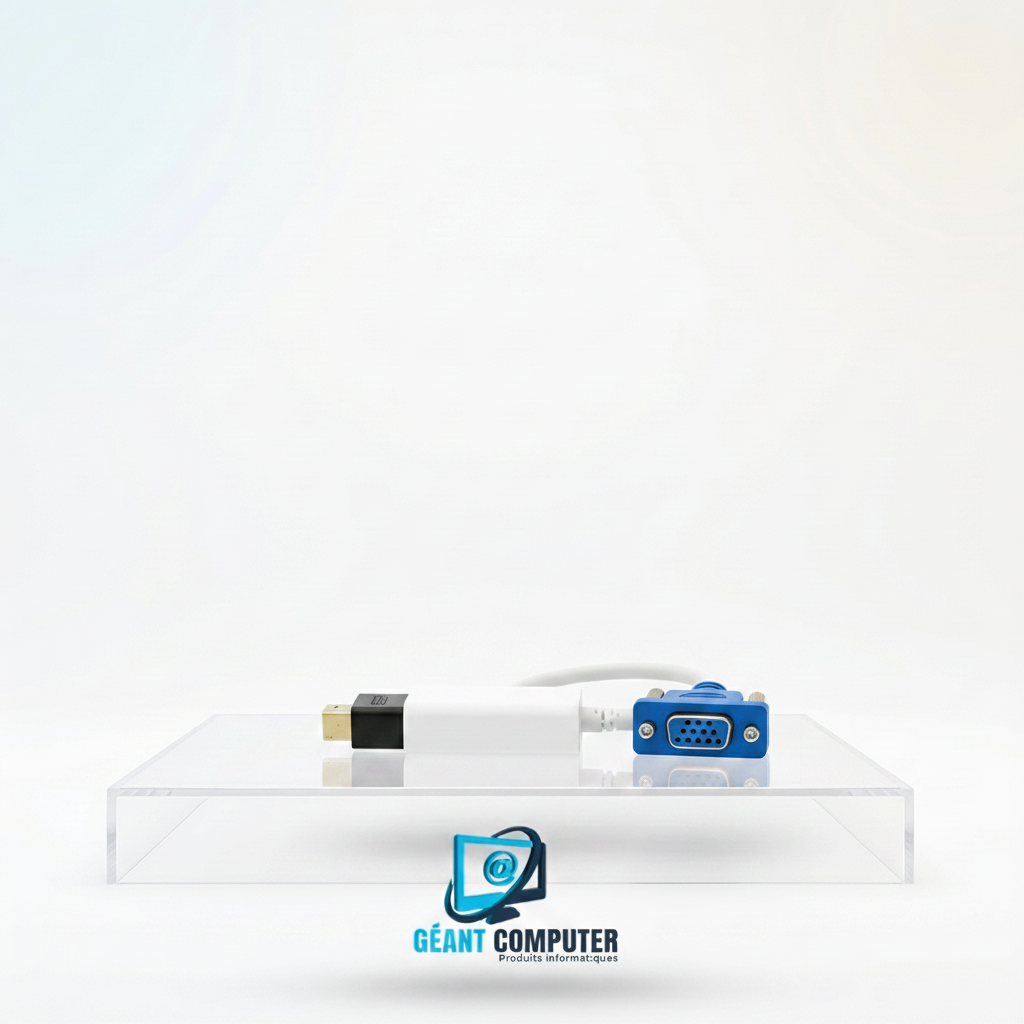 ADAPTATEUR DISPLAY TO VGA