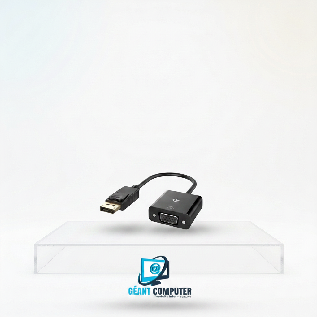 ADAPTATEUR DISPLAY TO VGA