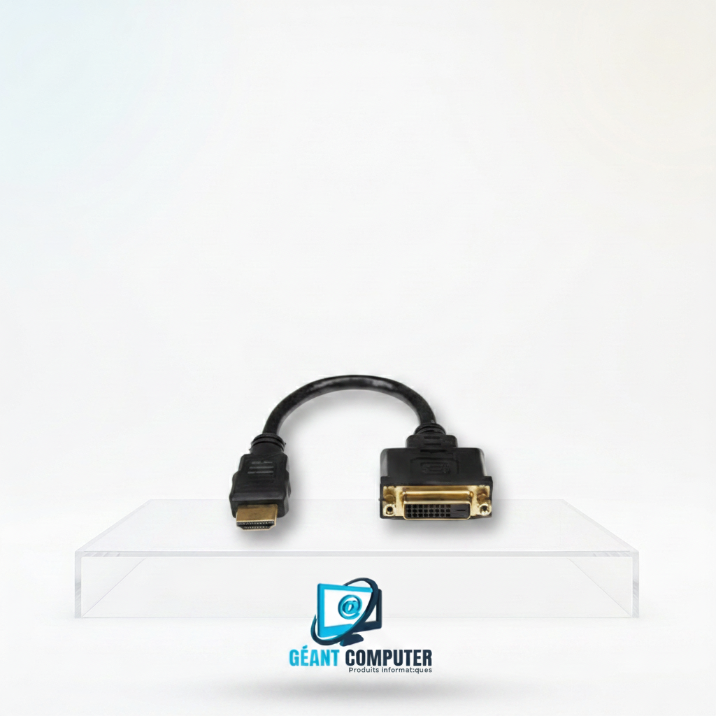 ADAPTATEUR HDMI TO DVI