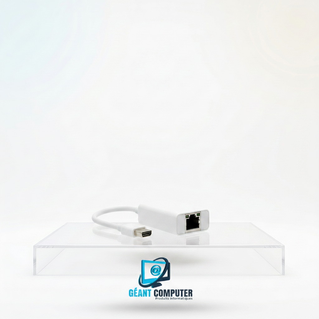 ADAPTATEUR MINI DISPLAY TO RJ45