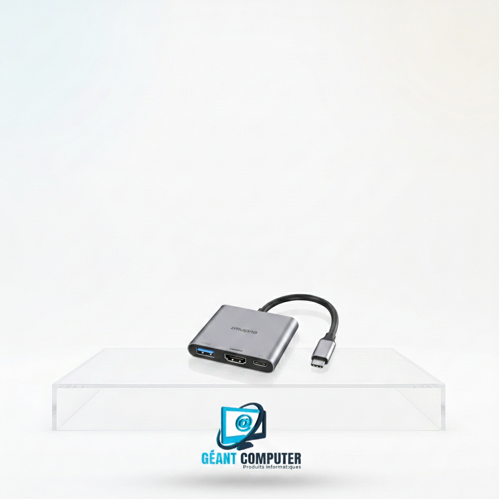 ADAPTATEUR TYPE C 3 IN 1