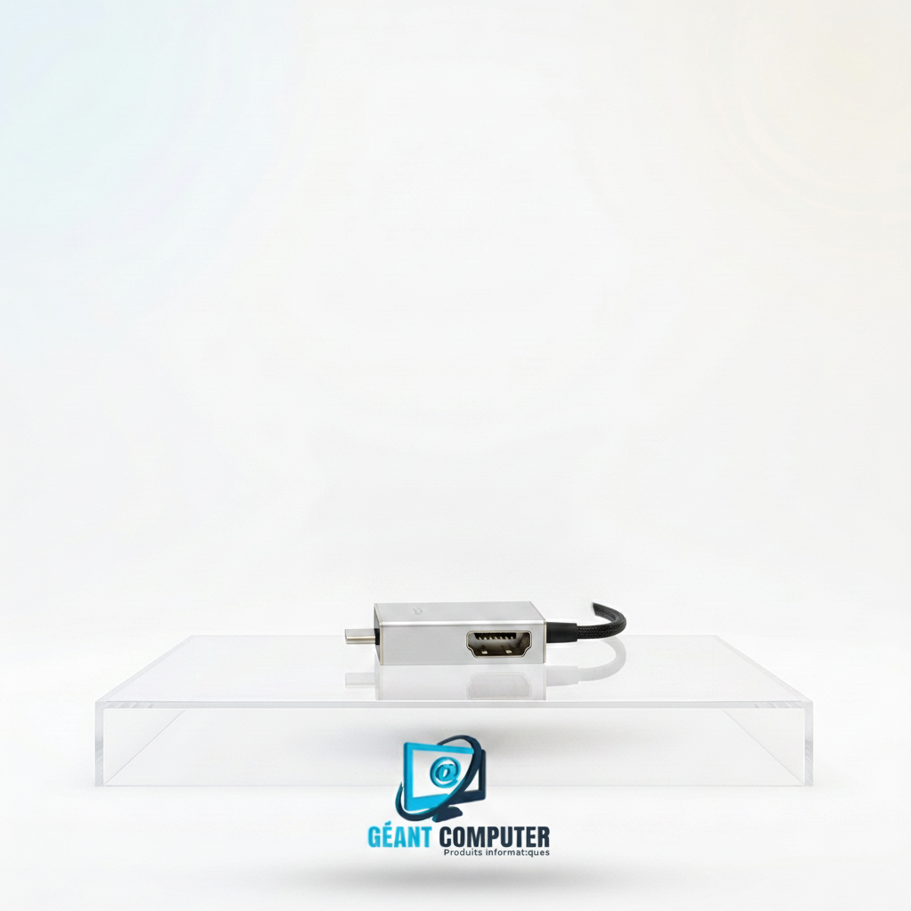 ADAPTATEUR TYPE C TO DISPLAY