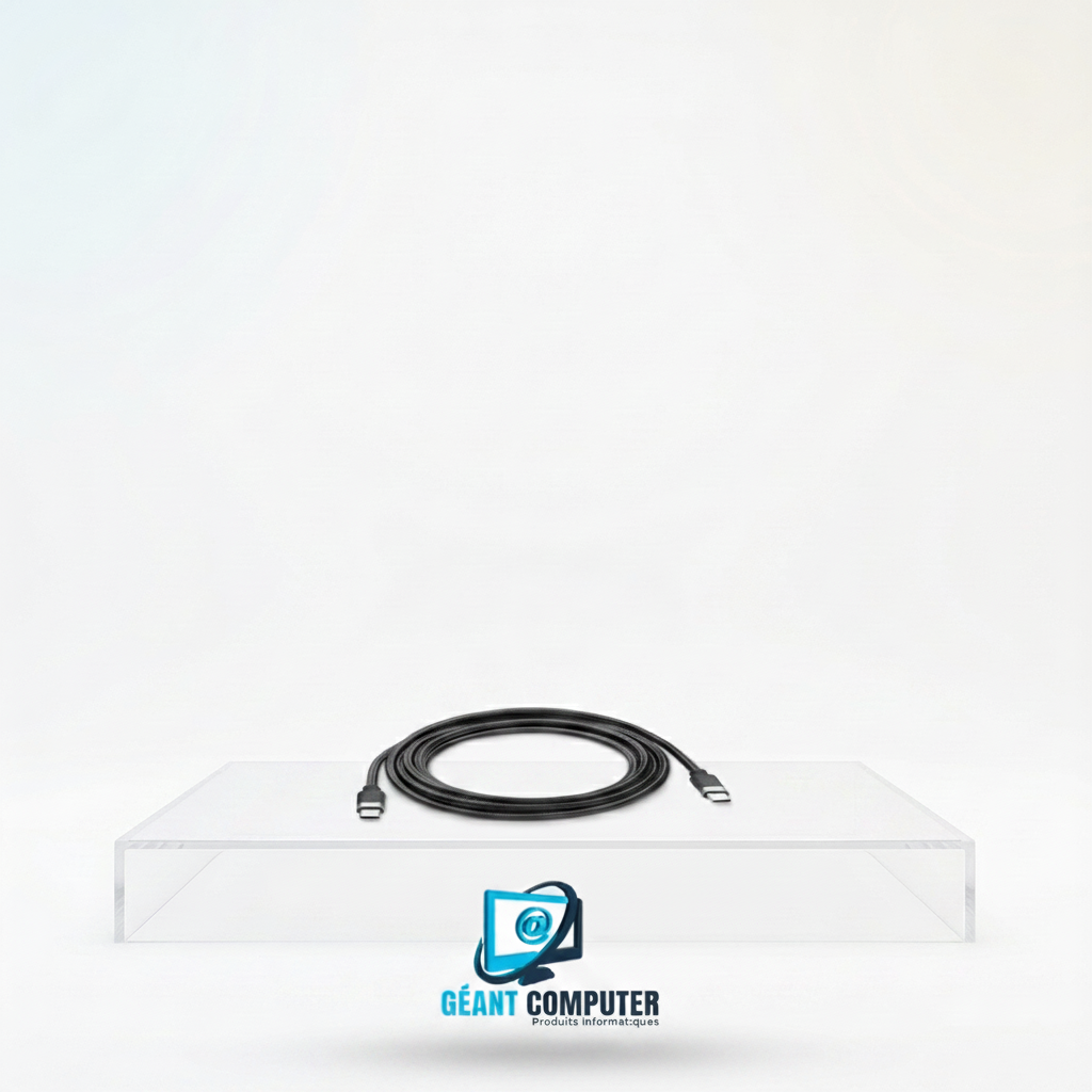 CABLE USB C / USB C ORG (IA)