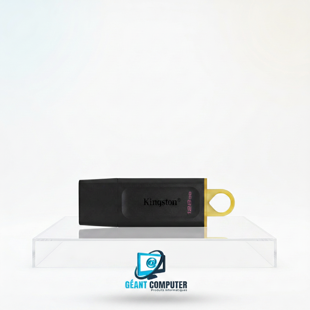 Cle Usb 128Go Kingston 3.2 Plastique (DTX/128GB)