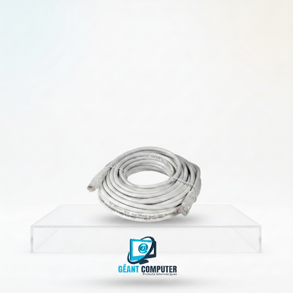 CORDON RESEAU 10M CAT6 GRIS (IA)