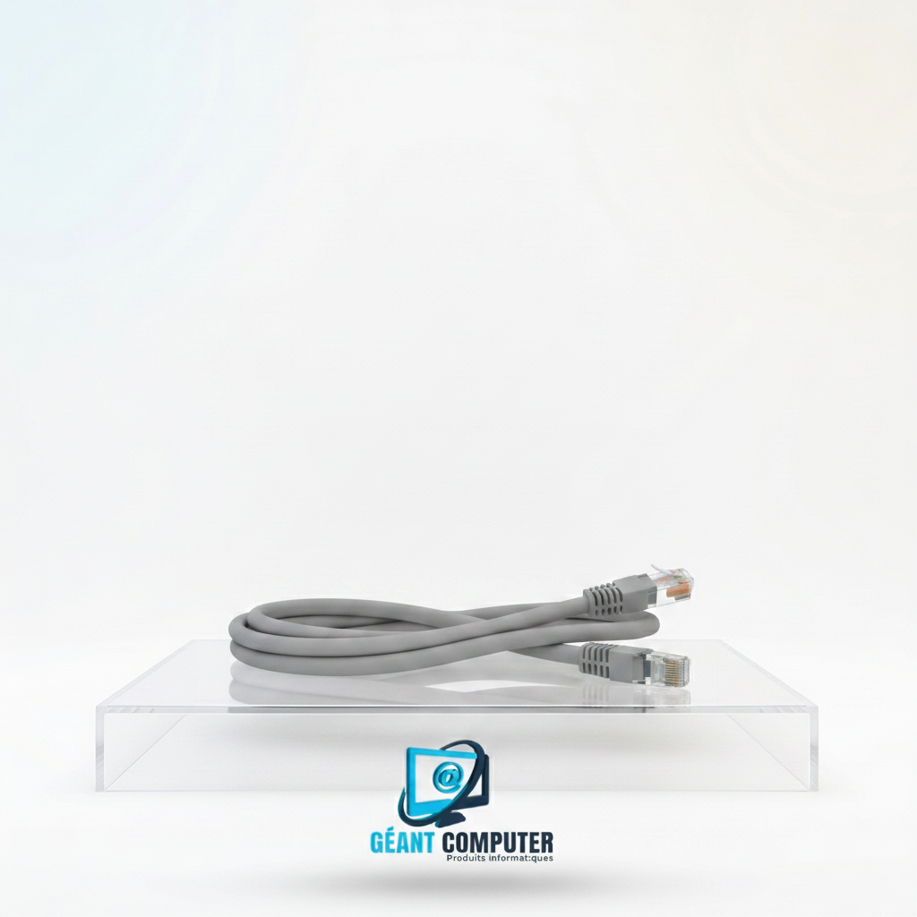 CABLE CORDON BRASSAGE 1M CAT6 GRIS