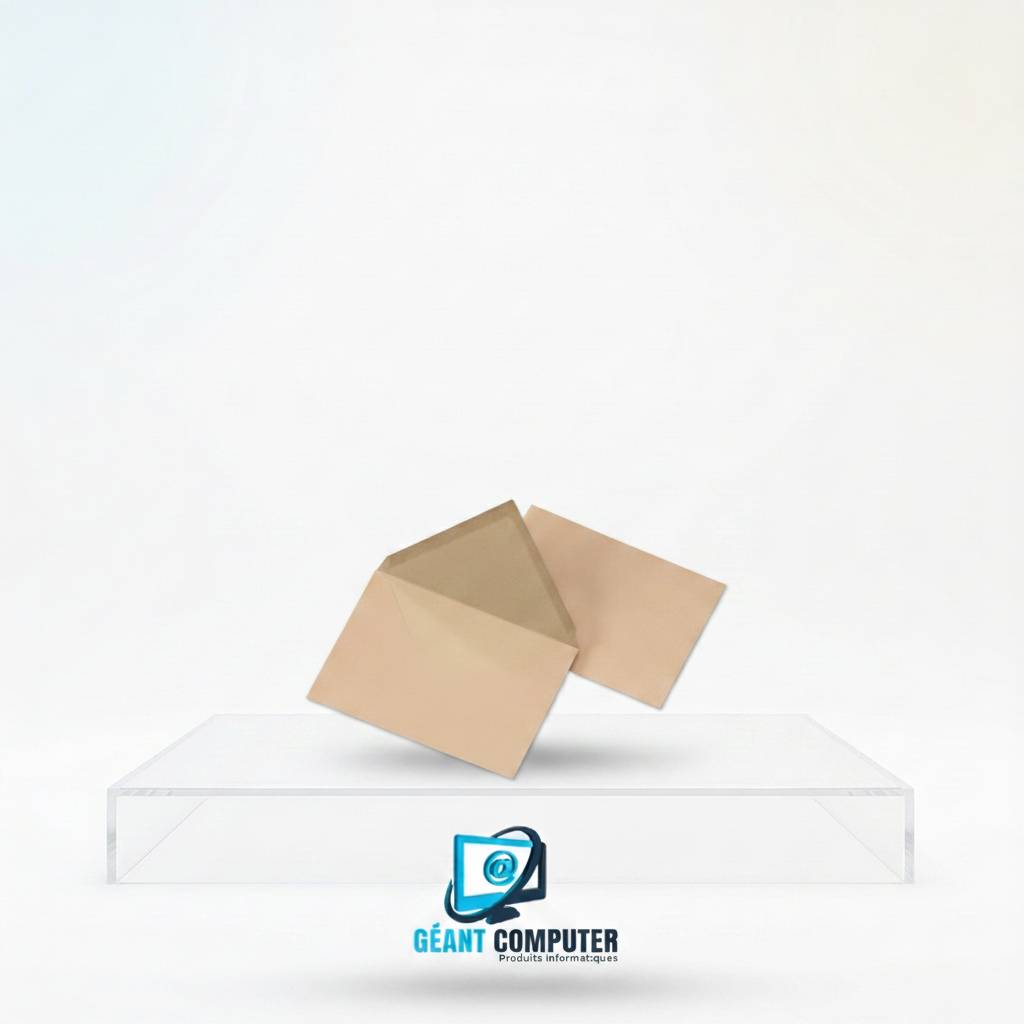 ENVELOPPE KRAFT 21 PETIT