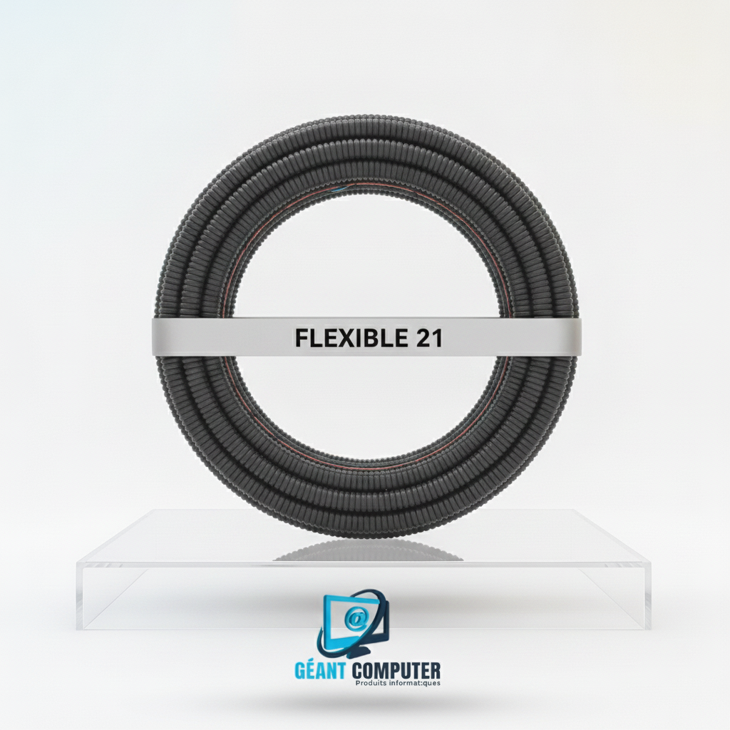 FLEXIBLE 21 (IA)