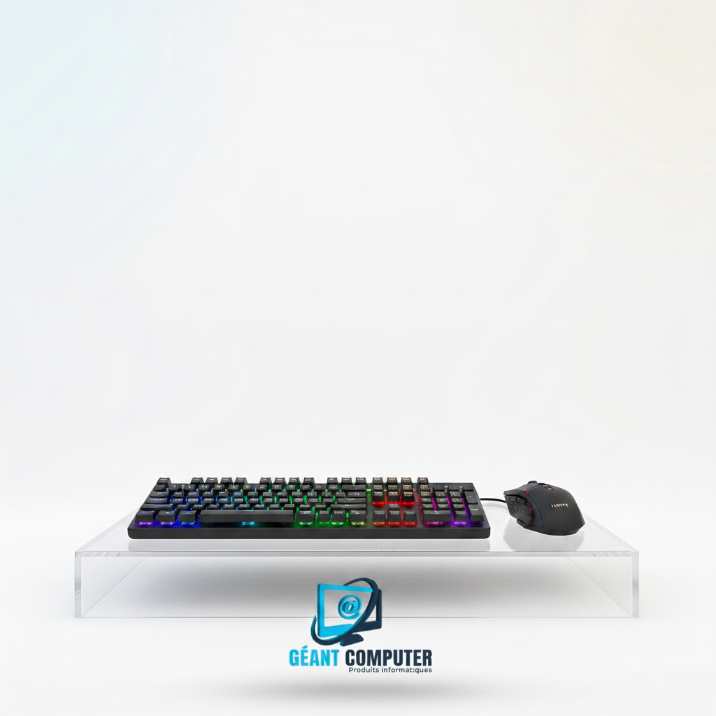 KIT CLAVIER SOURIS HAVIT KB852