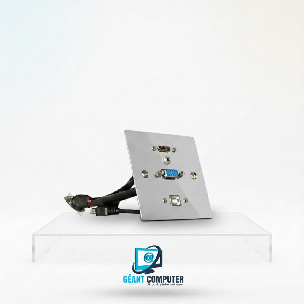 PRISE MUALE USB HDMI VGA (IA)
