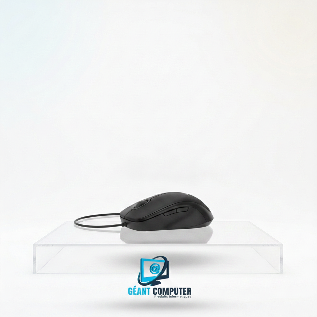 SOURIS LOGITECH USB B100  910-003357 (IA)