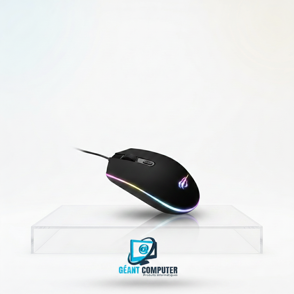 Souris Havit HV-MS1003 RVB (IA)