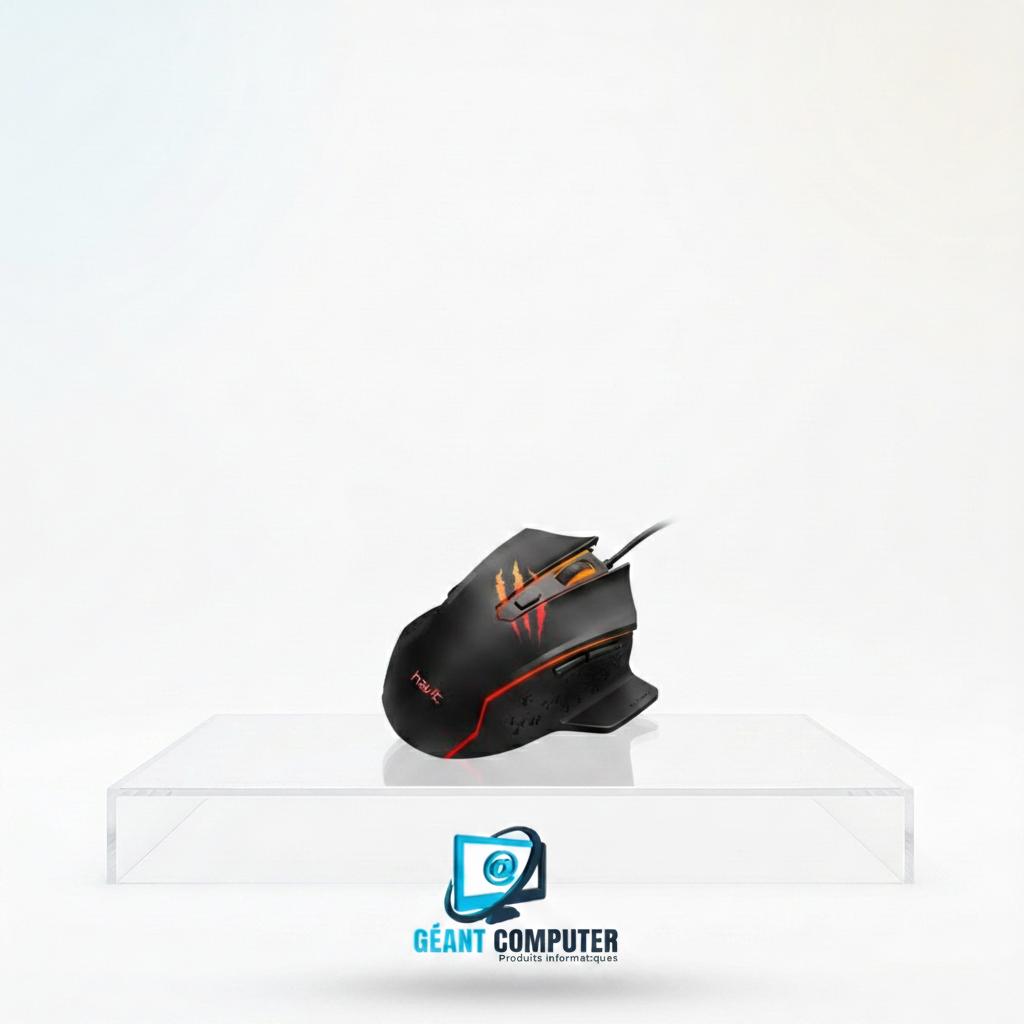 SOURIS GAMINIG HAVIT MS1027 (IA)