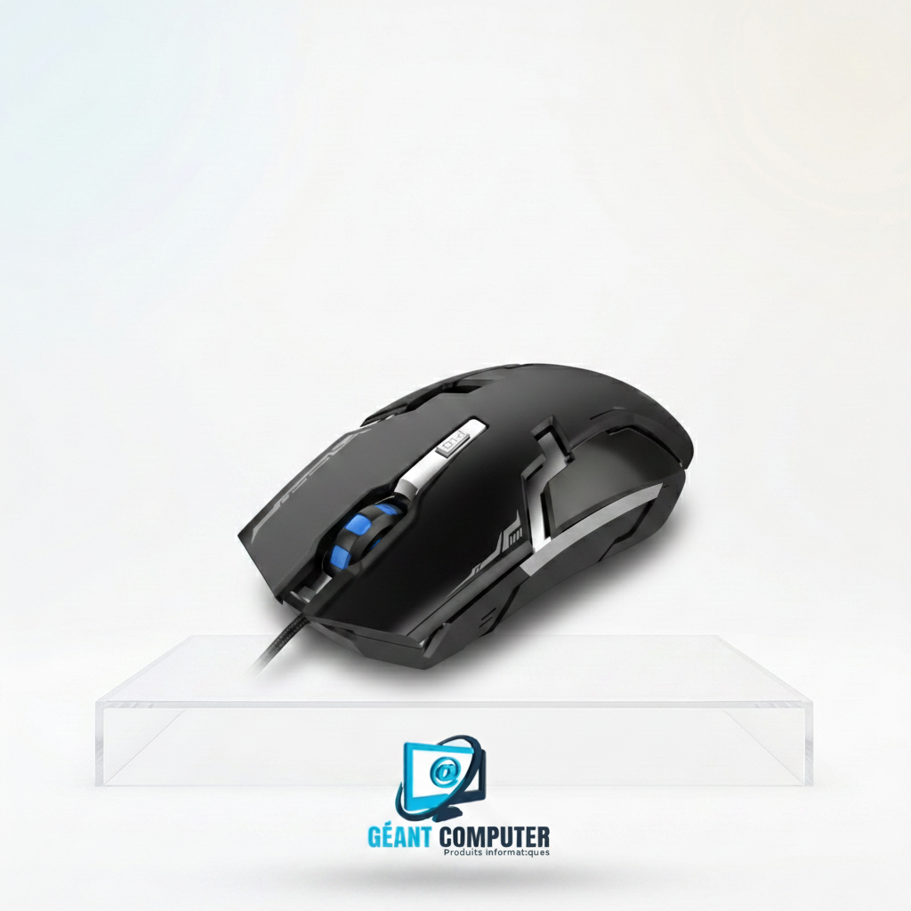 SOURIS HAVIT HV-MS749 GAMING