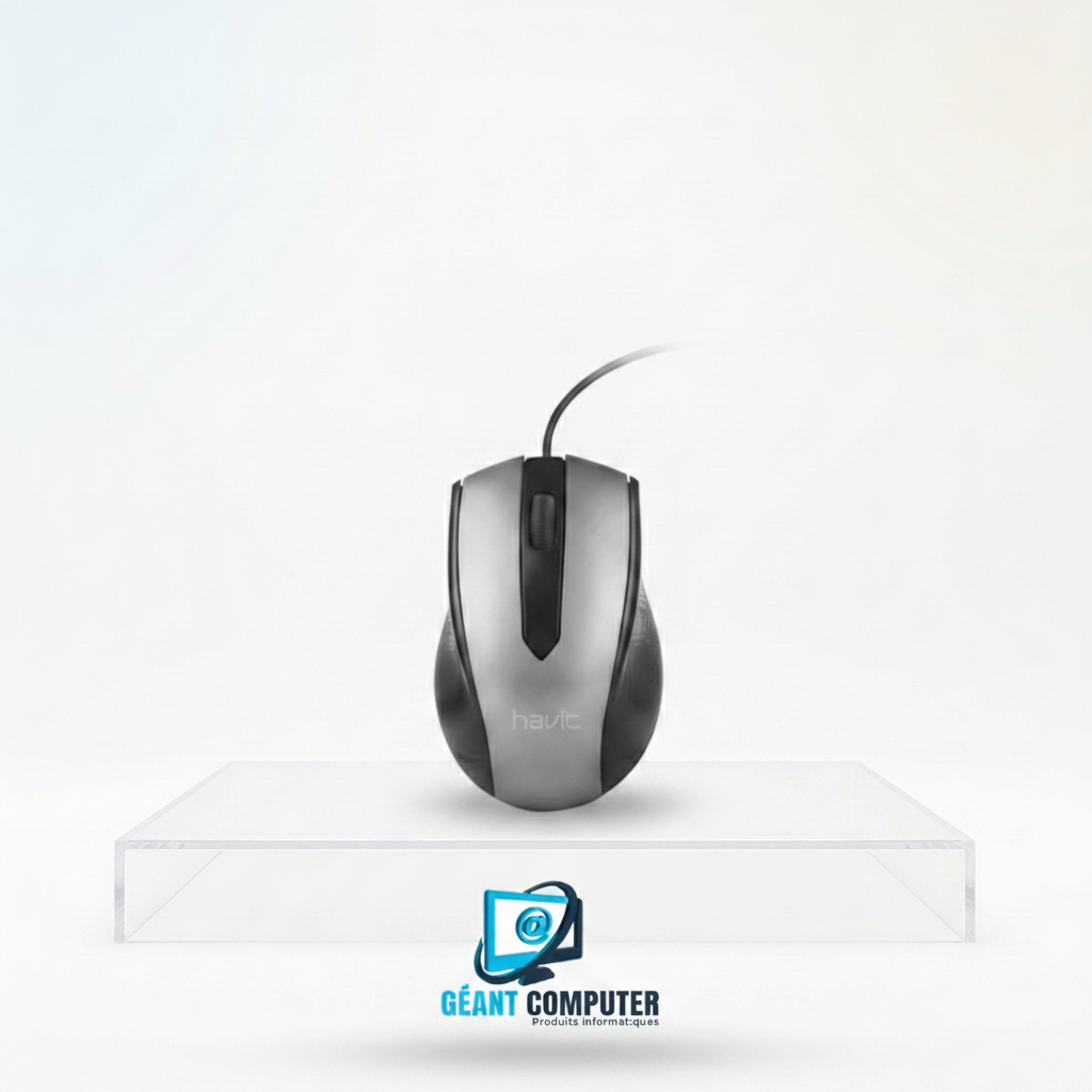 SOURIS HAVIT MS80 AVEC FIL
