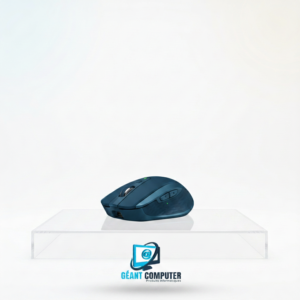 910-005154MX Souris anywhere 2 (IA)