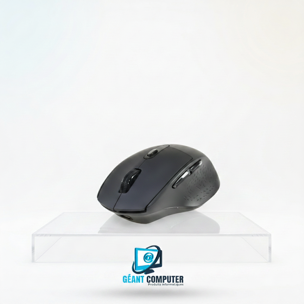 SOURIS VICTSING PC262A SANS FIL RECHARGABLE (IA)