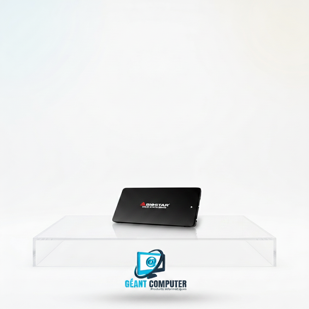 SSD BIOSTAR 120Go INTERNE (IA)