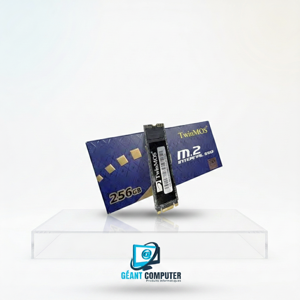 SSD M2 256Go TwinMOS (IA)