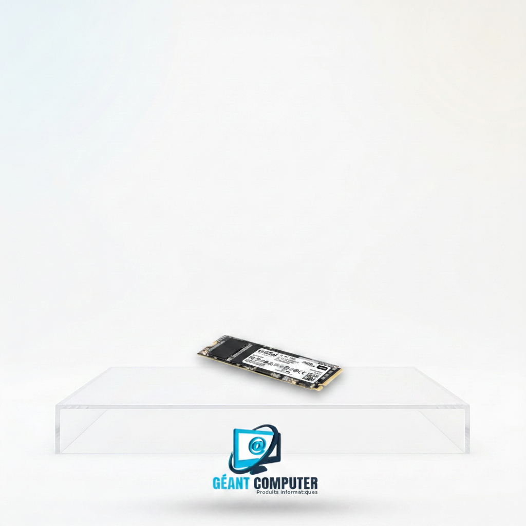 SSD 256Go NVME OCC (IA)