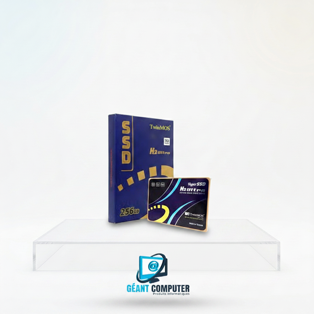 SSD INTERNE 256Go NVME TWINMOS (IA)