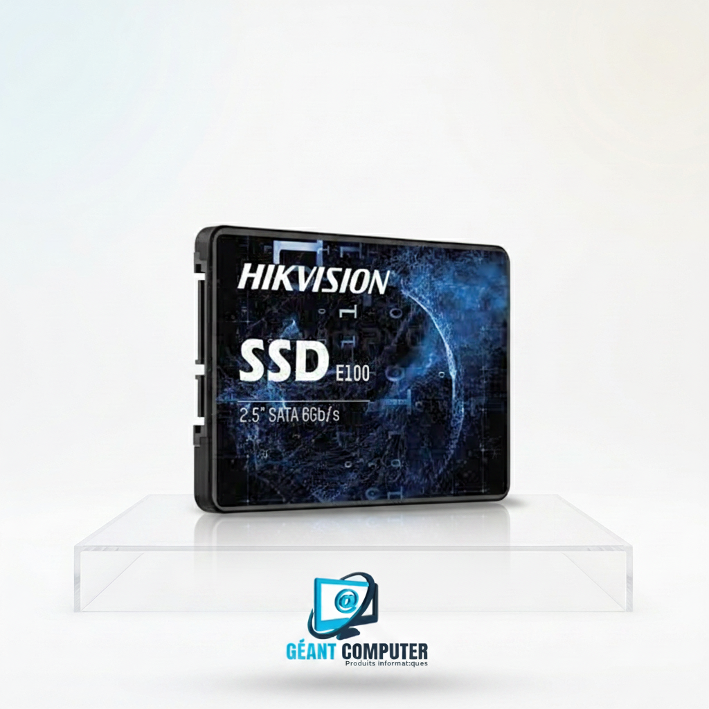 SSD 256Go 2.5" SATA Model: HS-SSD-E100