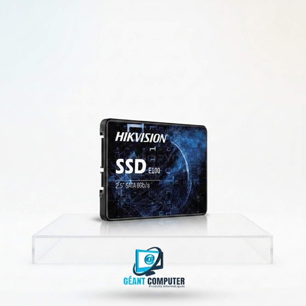 SSD 256Go 2.5" SATA Model: HS-SSD-E100