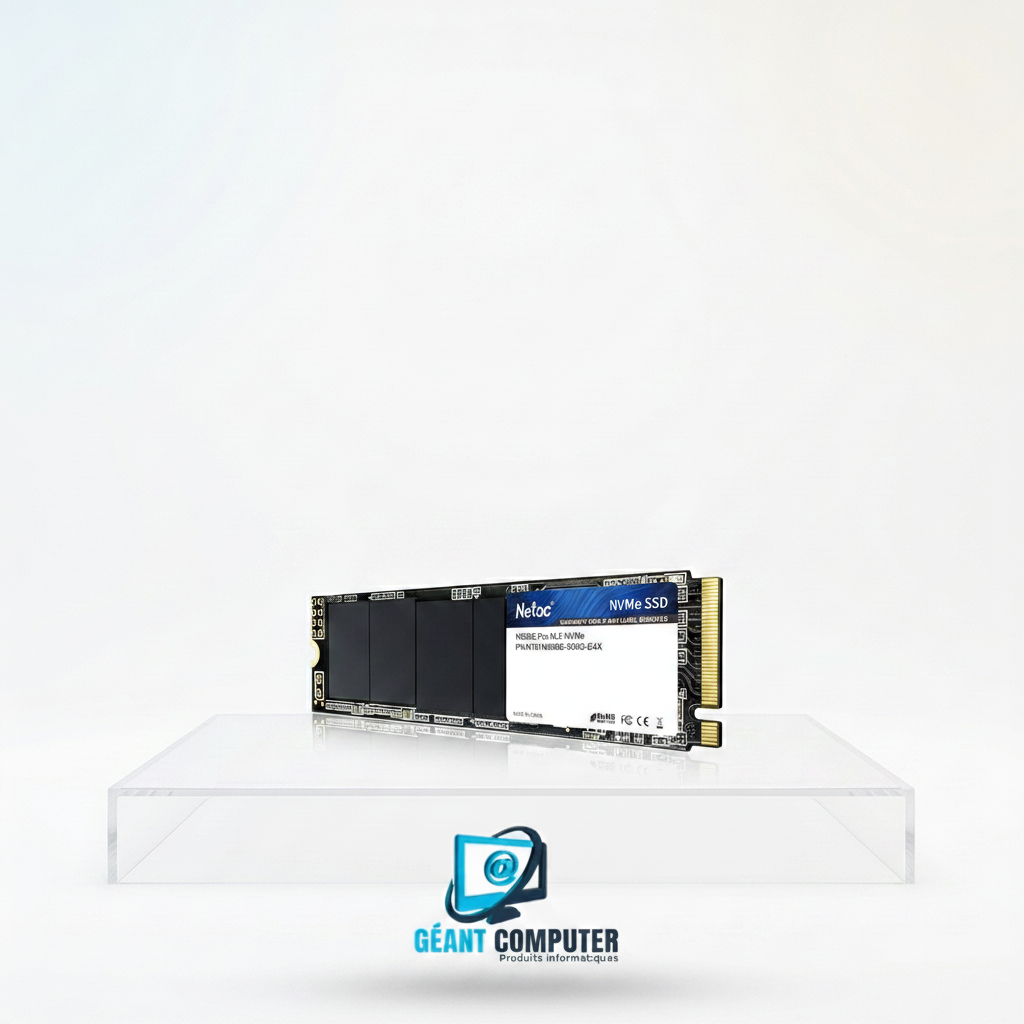 SSD M.2 500Go PRO PCIE NVME 22 (IA)