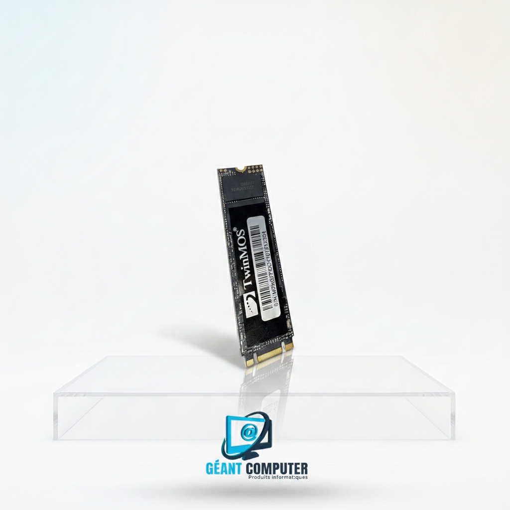 DISQUE DUR SSD 512G M2 TwinMOS (IA)