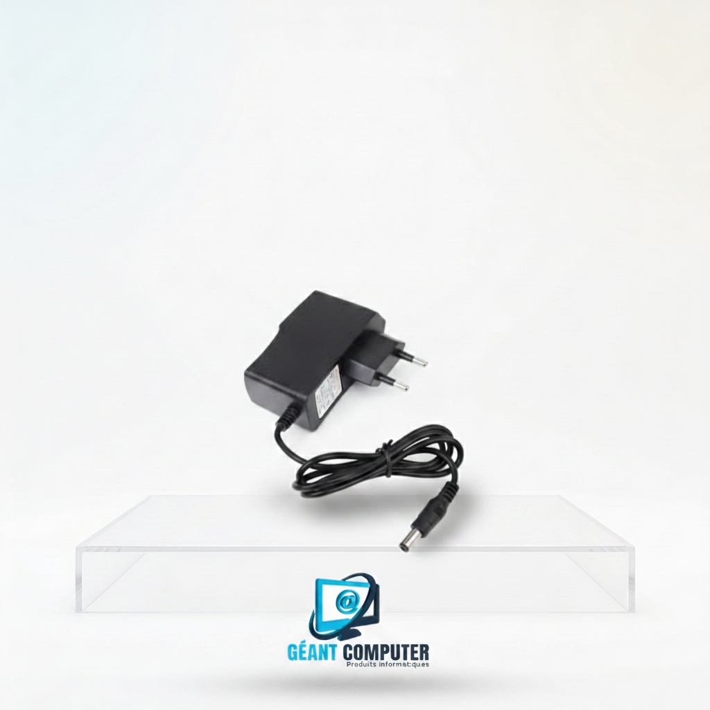 TRANSFORMATEUR CAMERA 12V/1A