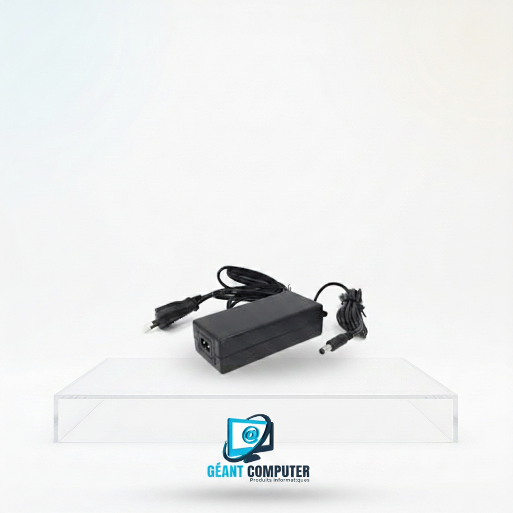 TRANSFORMATEUR CAMERA 12V/5A (IA)