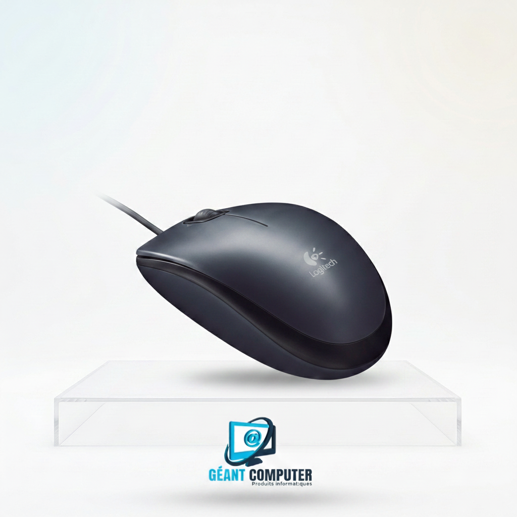 SOURIS USB LOGITECH M90 1000DPI - GRIS (IA)