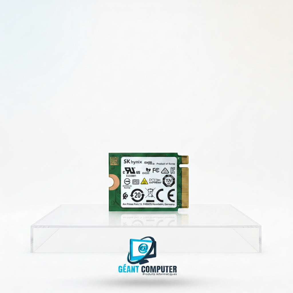 SSD 256Go M2 NVME SK HYNIX (IA)