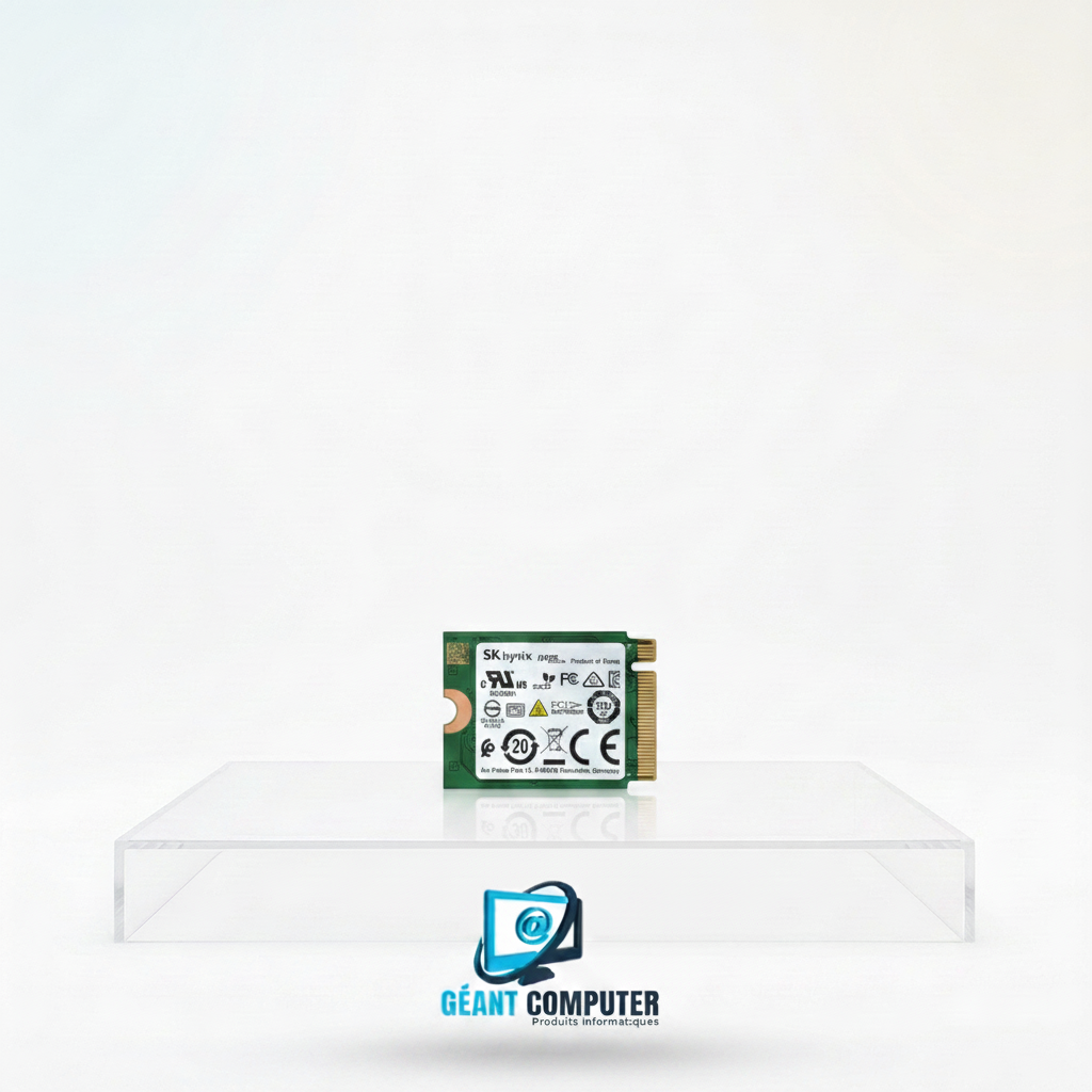 SSD 256Go M2 NVME SK HYNIX (IA)