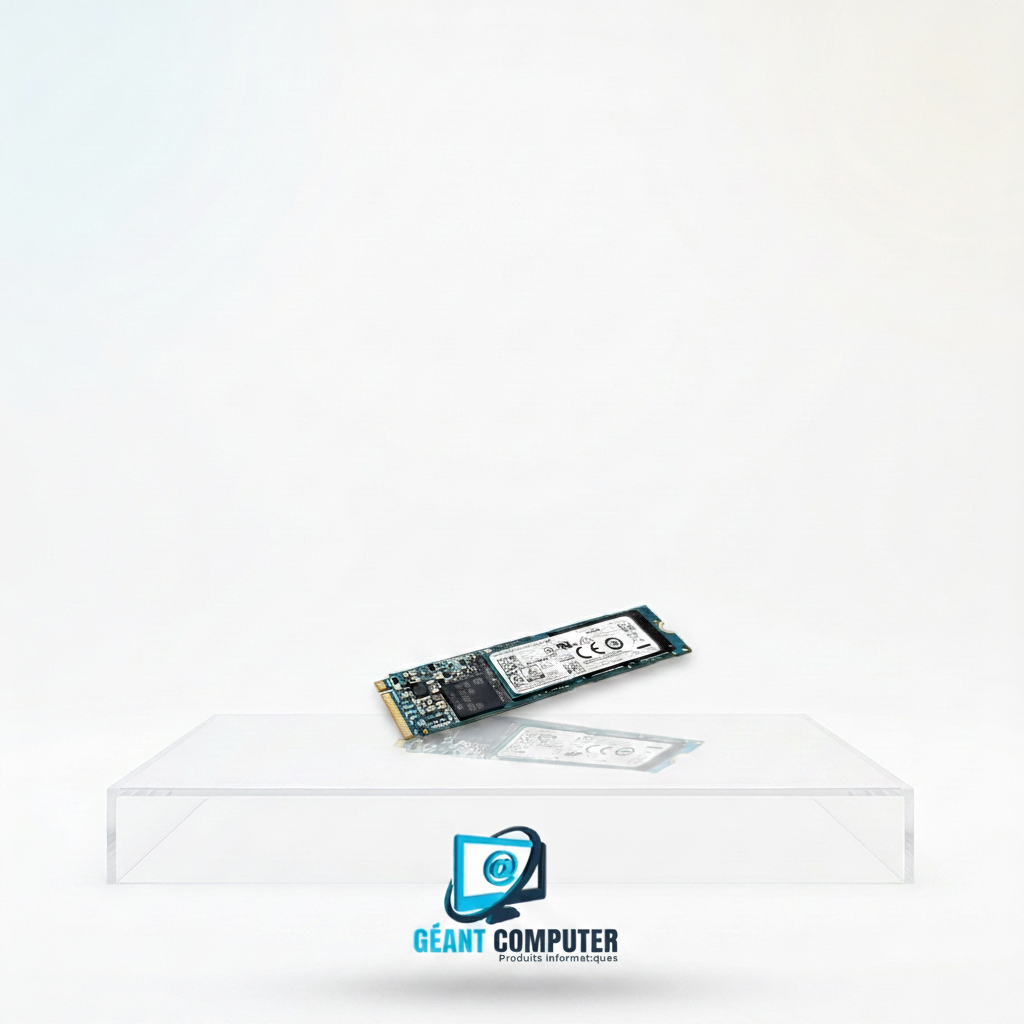 SSD 256 M2 OCC (IA)