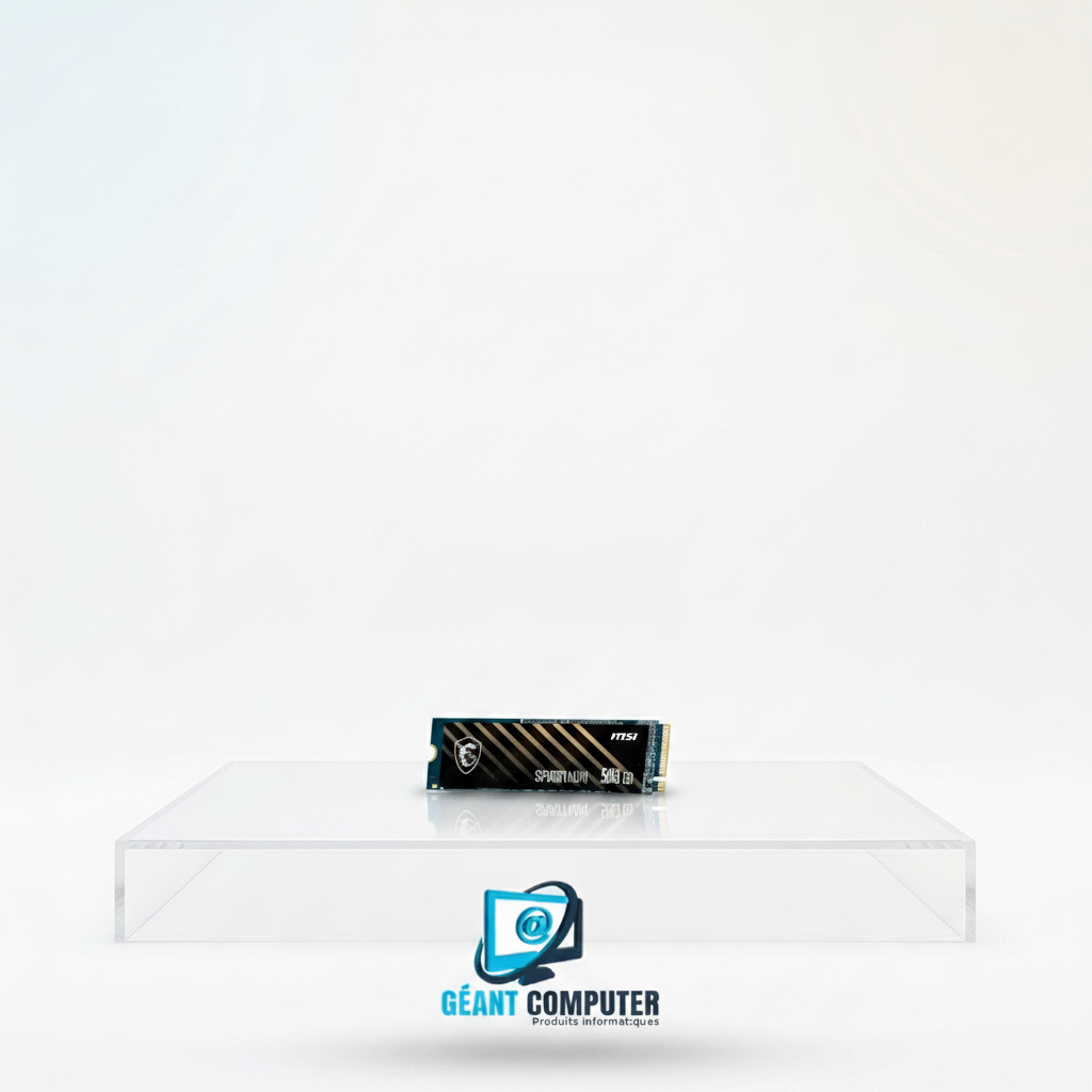 SSD INTERNE NVME 1To SPATIUM M450