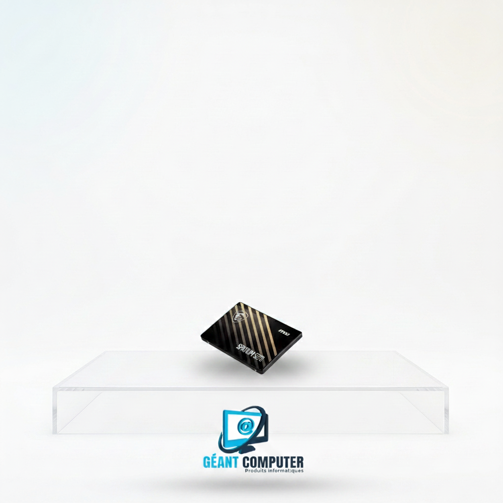 SSD INTERNE SATA 240Go SPATIUM S270