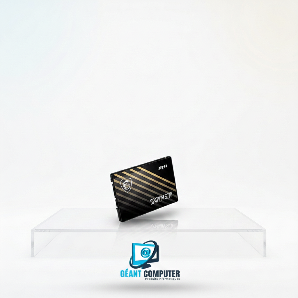 SSD INTERNE SATA 480Go SPATIUM S270