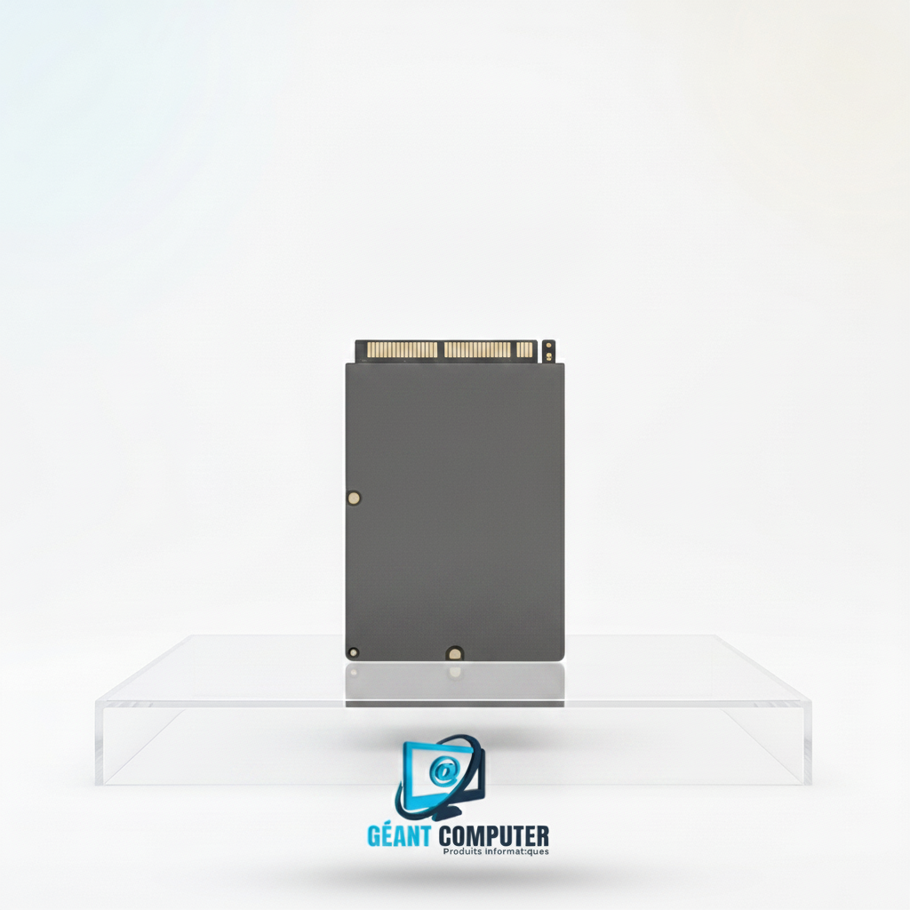 SSD 256Go SATA OCC (IA)