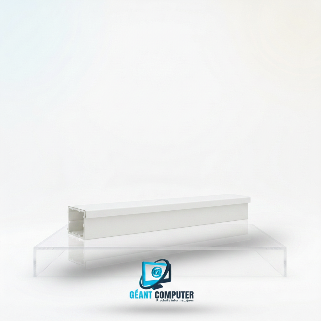 FERMETURE GOULOTTE 100*45 (IA)