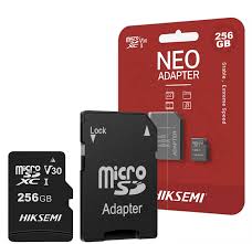 Carte Memoire Hiskemi 256Go