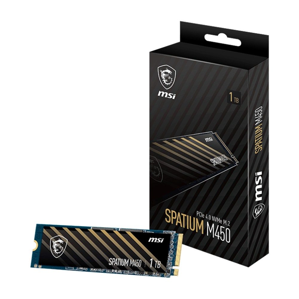 Ssd 1To M2 Nvme Spatium M450