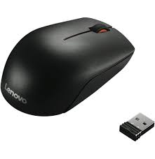 Souris Lenovo sans fil USB 300 Noir (GX30K79401)